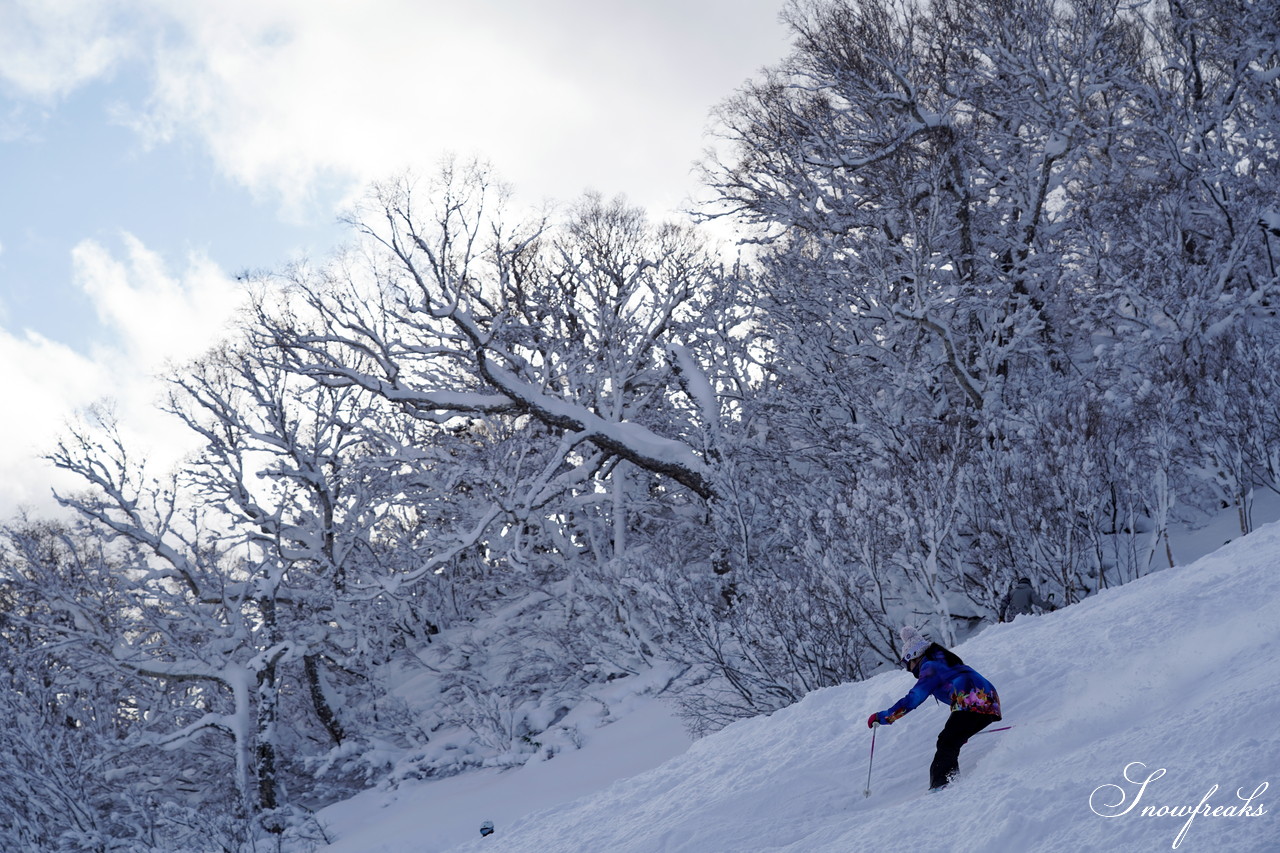 札幌国際スキー場 これぞ北海道。粉雪が降り積もったゲレンデはコンディション良好！そして、早くも全コース滑走可能です(*^^)v